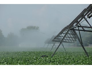 Property photo 17 - MICHIGAN LAND AUCTION, 1119 Acres offered in 17 Tracts