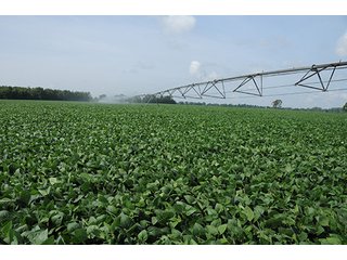 Property photo 35 - MICHIGAN LAND AUCTION, 1119 Acres offered in 17 Tracts