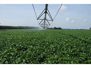 Property photo 23 - MICHIGAN LAND AUCTION, 1119 Acres offered in 17 Tracts