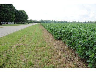 Property photo 11 - MICHIGAN LAND AUCTION, 1119 Acres offered in 17 Tracts