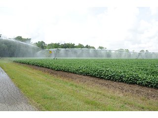 Property photo 18 - MICHIGAN LAND AUCTION, 1119 Acres offered in 17 Tracts