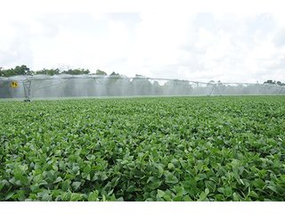 Property photo 16 - MICHIGAN LAND AUCTION, 1119 Acres offered in 17 Tracts