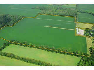 Tract 4 - MICHIGAN LAND AUCTION, 1119 Acres offered in 17 Tracts