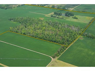 Tract 8 - MICHIGAN LAND AUCTION, 1119 Acres offered in 17 Tracts