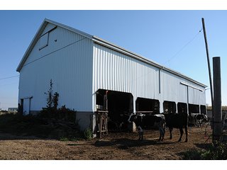 Tract 3 - LAND & REAL ESTATE AUCTION, 450+/- Acres offered in 17 Tracts of Highly Productive, Tillable Crop Land