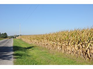Tract 5 - LAND & REAL ESTATE AUCTION, 450+/- Acres offered in 17 Tracts of Highly Productive, Tillable Crop Land