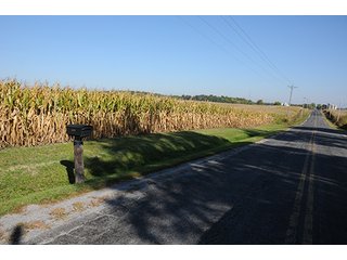 Tract 5 - LAND & REAL ESTATE AUCTION, 450+/- Acres offered in 17 Tracts of Highly Productive, Tillable Crop Land