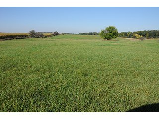 Tract 6 - LAND & REAL ESTATE AUCTION, 450+/- Acres offered in 17 Tracts of Highly Productive, Tillable Crop Land