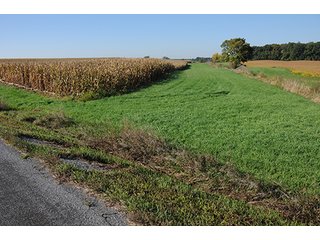 Tract 7 - LAND & REAL ESTATE AUCTION, 450+/- Acres offered in 17 Tracts of Highly Productive, Tillable Crop Land