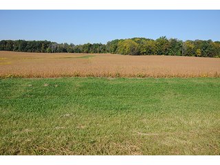 Tract 8 - LAND & REAL ESTATE AUCTION, 450+/- Acres offered in 17 Tracts of Highly Productive, Tillable Crop Land