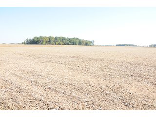 Tract 11 - LAND & REAL ESTATE AUCTION, 450+/- Acres offered in 17 Tracts of Highly Productive, Tillable Crop Land