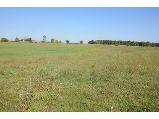 Tract 16 - LAND & REAL ESTATE AUCTION, 450+/- Acres offered in 17 Tracts of Highly Productive, Tillable Crop Land