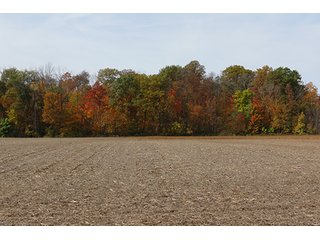 Tract 8 - LAND & REAL ESTATE AUCTION, 450+/- Acres offered in 17 Tracts of Highly Productive, Tillable Crop Land