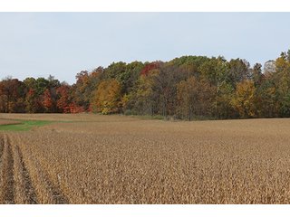 Tract 8 - LAND & REAL ESTATE AUCTION, 450+/- Acres offered in 17 Tracts of Highly Productive, Tillable Crop Land