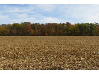 Tract 12 - LAND & REAL ESTATE AUCTION, 450+/- Acres offered in 17 Tracts of Highly Productive, Tillable Crop Land