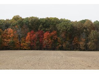 Tract 4 - LAND & REAL ESTATE AUCTION, 450+/- Acres offered in 17 Tracts of Highly Productive, Tillable Crop Land