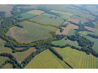 Tract 1 - LAND AUCTION, 223+/- Acres offered in 3 Tracts