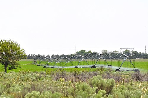 Property photo 36 - LAND AUCTION, 3255+/- Acres offered in 13 Tracts