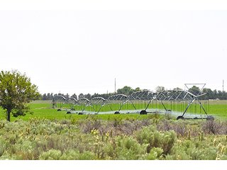 Property photo 36 - LAND AUCTION, 3255+/- Acres offered in 13 Tracts