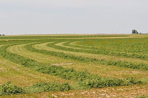 Property photo 121 - LAND AUCTION, 3255+/- Acres offered in 13 Tracts