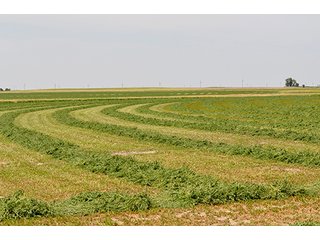 Property photo 121 - LAND AUCTION, 3255+/- Acres offered in 13 Tracts