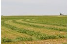 Property photo 121 - LAND AUCTION, 3255+/- Acres offered in 13 Tracts