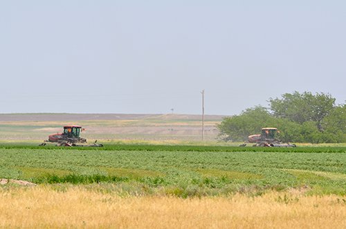 Property photo 106 - LAND AUCTION, 3255+/- Acres offered in 13 Tracts