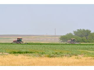Property photo 106 - LAND AUCTION, 3255+/- Acres offered in 13 Tracts