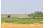 Property photo 106 - LAND AUCTION, 3255+/- Acres offered in 13 Tracts