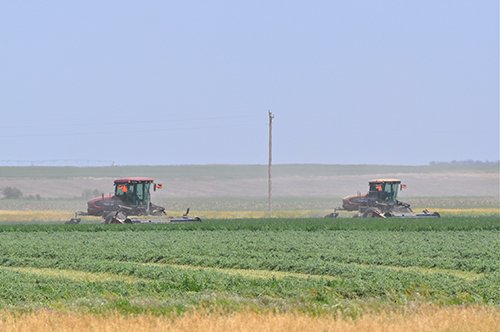 Property photo 45 - LAND AUCTION, 3255+/- Acres offered in 13 Tracts
