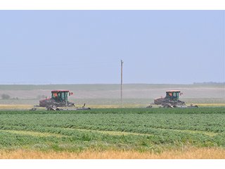 Property photo 45 - LAND AUCTION, 3255+/- Acres offered in 13 Tracts
