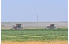 Property photo 45 - LAND AUCTION, 3255+/- Acres offered in 13 Tracts