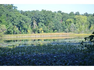 Property photo 42 - REAL ESTATE & LAND AUCTION-GOSHEN COLLEGE REAL LOG & MORTAR CABIN-37.86+/- ACRES