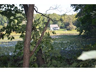Property photo 25 - REAL ESTATE & LAND AUCTION-GOSHEN COLLEGE REAL LOG & MORTAR CABIN-37.86+/- ACRES