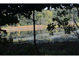 Property photo 37 - REAL ESTATE & LAND AUCTION-GOSHEN COLLEGE REAL LOG & MORTAR CABIN-37.86+/- ACRES