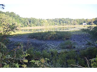 Property photo 40 - REAL ESTATE & LAND AUCTION-GOSHEN COLLEGE REAL LOG & MORTAR CABIN-37.86+/- ACRES