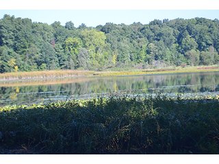 Property photo 30 - REAL ESTATE & LAND AUCTION-GOSHEN COLLEGE REAL LOG & MORTAR CABIN-37.86+/- ACRES