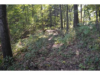 Property photo 8 - REAL ESTATE & LAND AUCTION-GOSHEN COLLEGE REAL LOG & MORTAR CABIN-37.86+/- ACRES