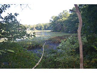 Property photo 29 - REAL ESTATE & LAND AUCTION-GOSHEN COLLEGE REAL LOG & MORTAR CABIN-37.86+/- ACRES