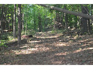 Property photo 15 - REAL ESTATE & LAND AUCTION-GOSHEN COLLEGE REAL LOG & MORTAR CABIN-37.86+/- ACRES