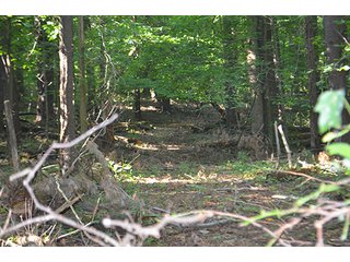 Property photo 19 - REAL ESTATE & LAND AUCTION-GOSHEN COLLEGE REAL LOG & MORTAR CABIN-37.86+/- ACRES