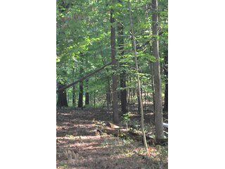 Property photo 23 - REAL ESTATE & LAND AUCTION-GOSHEN COLLEGE REAL LOG & MORTAR CABIN-37.86+/- ACRES