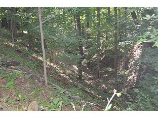 Property photo 17 - REAL ESTATE & LAND AUCTION-GOSHEN COLLEGE REAL LOG & MORTAR CABIN-37.86+/- ACRES