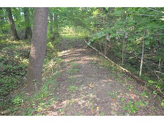 Property photo 18 - REAL ESTATE & LAND AUCTION-GOSHEN COLLEGE REAL LOG & MORTAR CABIN-37.86+/- ACRES