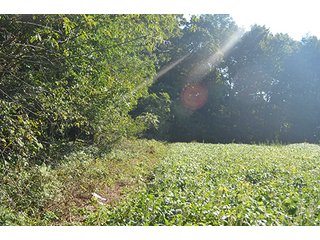 Property photo 2 - REAL ESTATE & LAND AUCTION-GOSHEN COLLEGE REAL LOG & MORTAR CABIN-37.86+/- ACRES