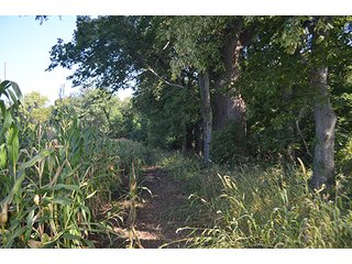 Property photo 14 - REAL ESTATE & LAND AUCTION-GOSHEN COLLEGE REAL LOG & MORTAR CABIN-37.86+/- ACRES