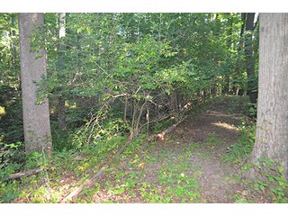 Property photo 5 - REAL ESTATE & LAND AUCTION-GOSHEN COLLEGE REAL LOG & MORTAR CABIN-37.86+/- ACRES