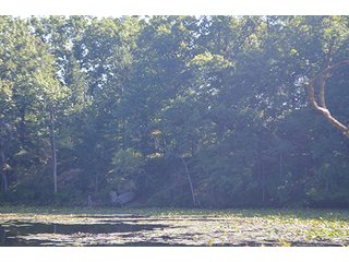 Property photo 34 - REAL ESTATE & LAND AUCTION-GOSHEN COLLEGE REAL LOG & MORTAR CABIN-37.86+/- ACRES