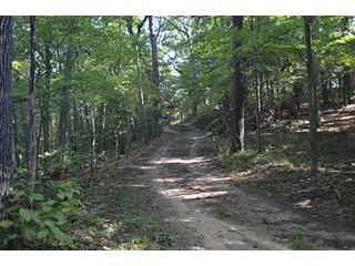 Property photo 22 - REAL ESTATE & LAND AUCTION-GOSHEN COLLEGE REAL LOG & MORTAR CABIN-37.86+/- ACRES