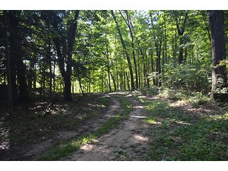 Property photo 12 - REAL ESTATE & LAND AUCTION-GOSHEN COLLEGE REAL LOG & MORTAR CABIN-37.86+/- ACRES